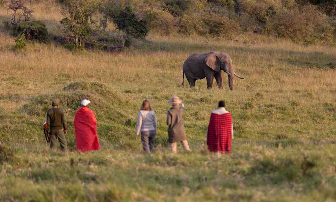 Safari traveler observing an elephant during a guided walking safari in the Rift Valley and Masai Mara region of Kenya