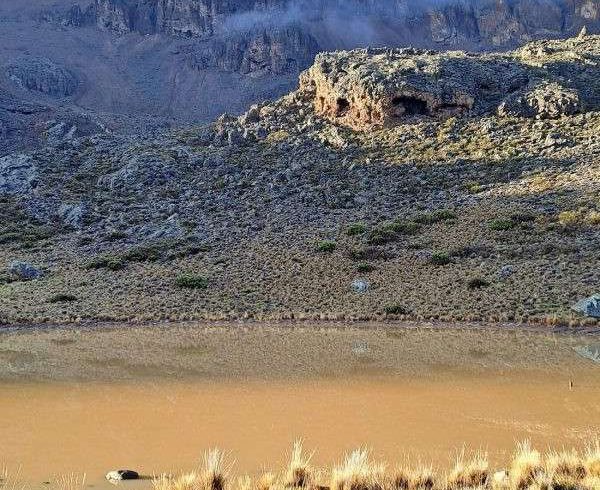 Natural alpine landscape along the Rongai Route on Mount Kilimanjaro.