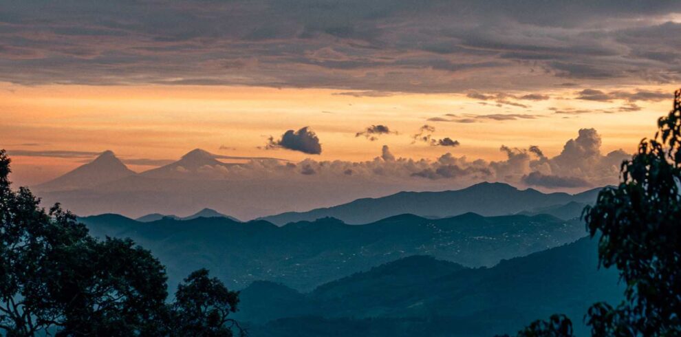 Rwanda gorilla and chimpanzee trekking safari featuring Volcanoes National Park, Nyungwe Forest primates, rainforest landscapes, and wildlife encounters
