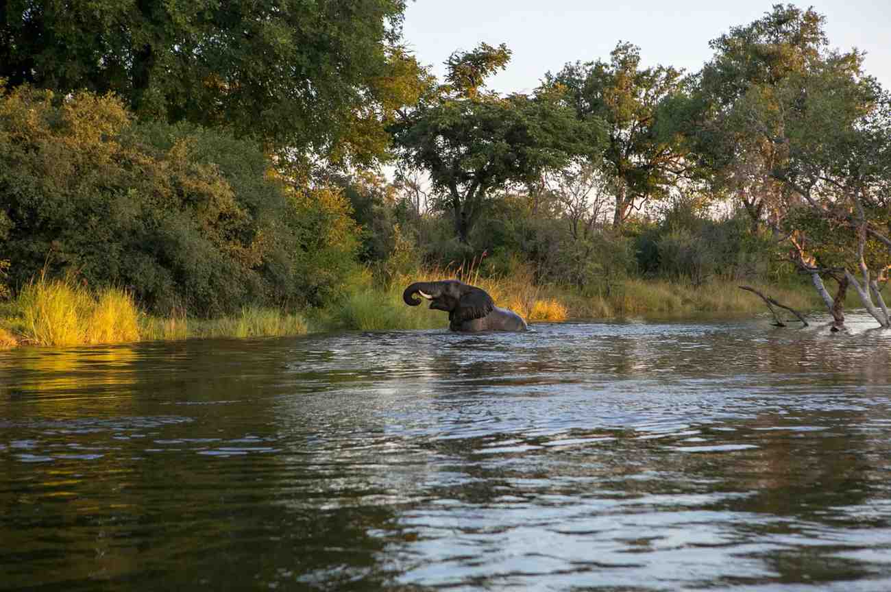 South Luangwa and Zambezi Valley safari featuring remote wildlife, river landscapes, walking safaris, and authentic Zambia wilderness experiences