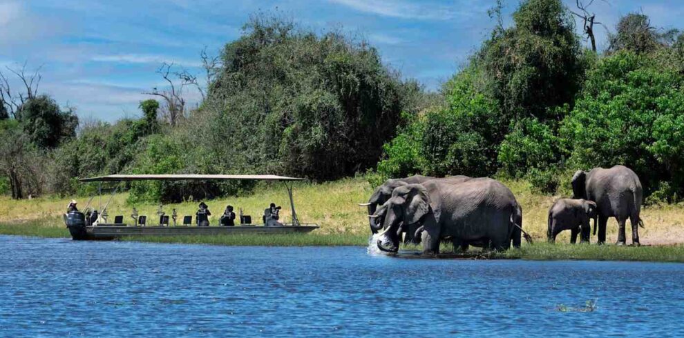 Victoria Falls and Chobe safari experience featuring the Zambezi waterfalls, Chobe River wildlife, elephants, and African wilderness