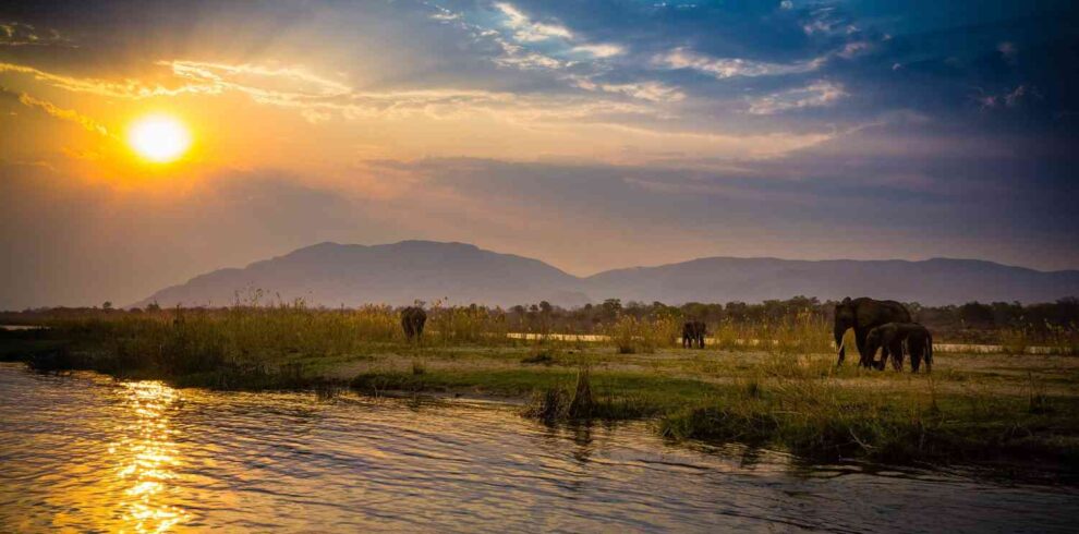 Zambia safari featuring South Luangwa and Lower Zambezi National Parks with wildlife encounters, river landscapes, and authentic wilderness experiences