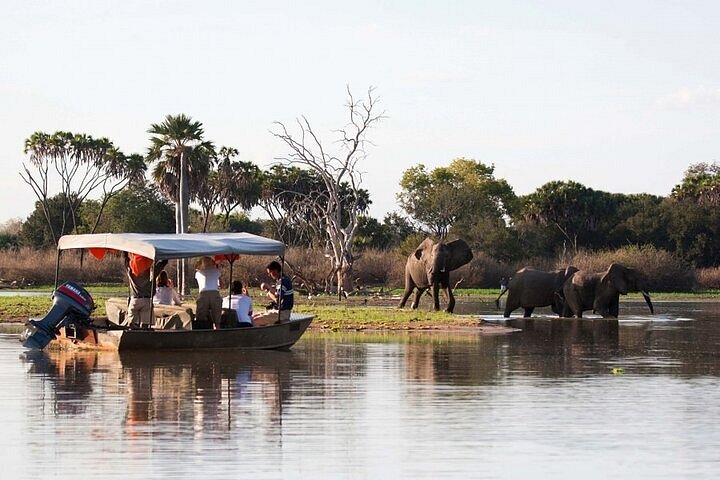 Exclusive Southern Tanzania safari exploring Mikumi, Udzungwa, Nyerere, and Ruaha National Parks with wildlife and wilderness experiences