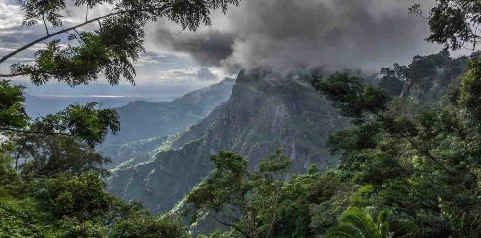Luxury Eastern Tanzania safari and beach escape exploring Usambara Mountains, Saadani National Park, and Mkomazi wildlife landscapes