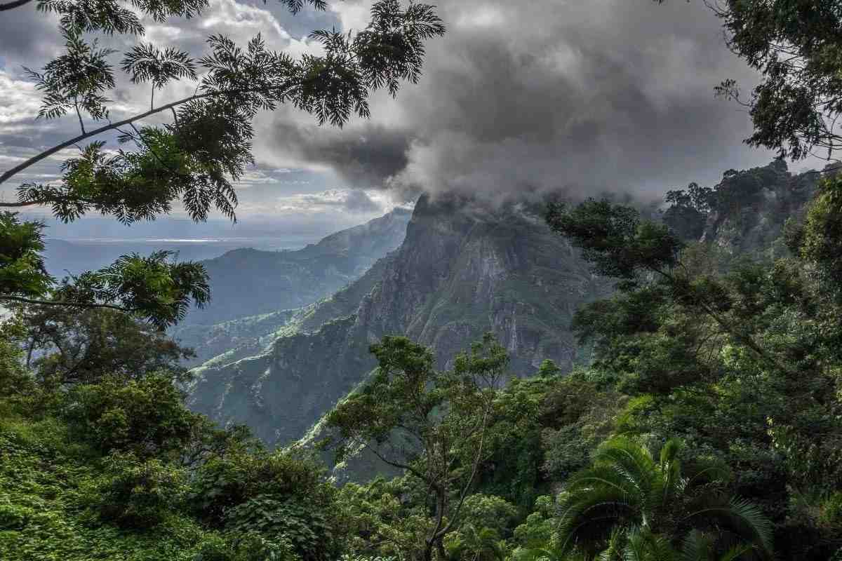 Luxury Eastern Tanzania safari and beach escape exploring Usambara Mountains, Saadani National Park, and Mkomazi wildlife landscapes