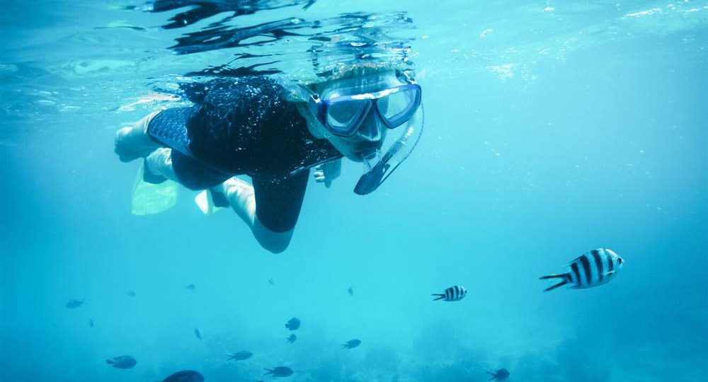 Snorkeller swimming with tropical fish in clear water
