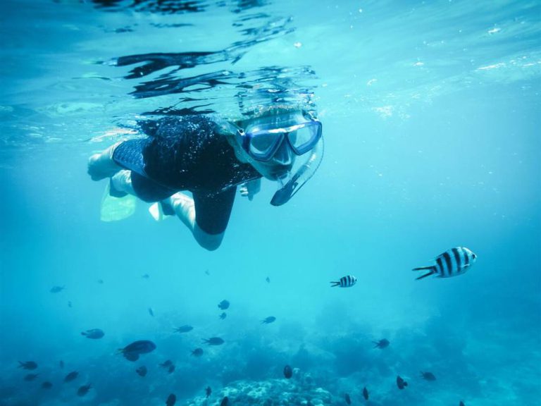 Snorkeller swimming with tropical fish in clear water